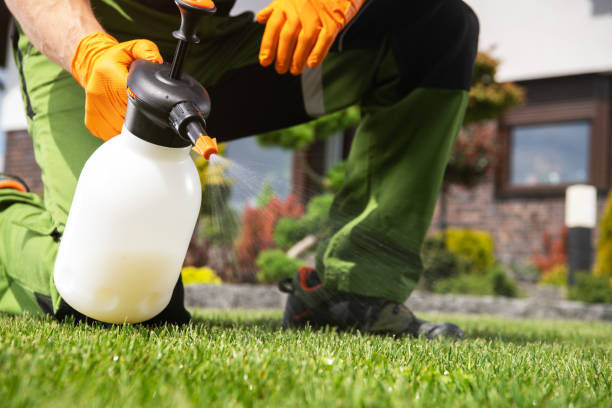 Best Residential Pest Control  in Norwich, CT