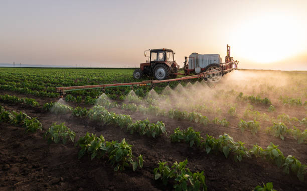 Best Mosquito Control Services  in Norwich, CT