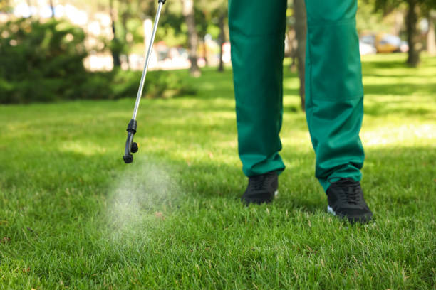 Pest Prevention Services in Norwich, CT
