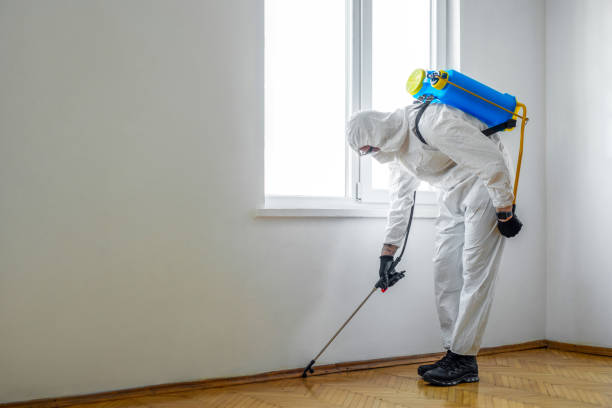  Norwich, CT Pest Control Pros