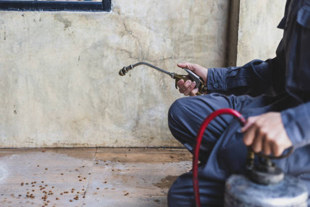 Best Wasp Removal Services  in Norwich, CT